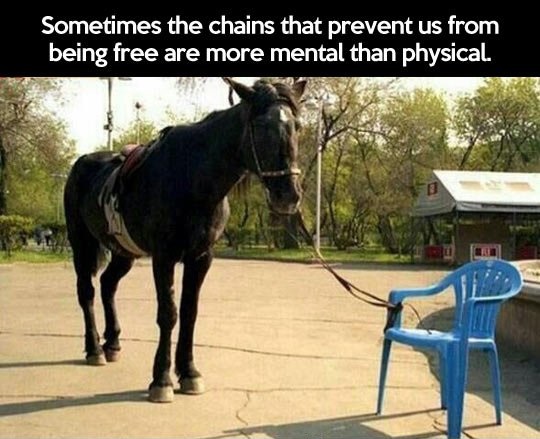 horse-tied-to-plastic-chair-mental-chain